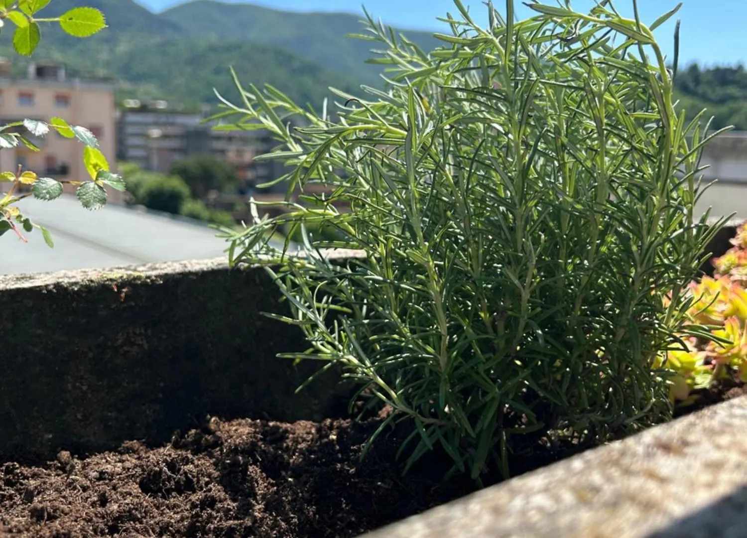 Sesta Terra Apartment Aulla
